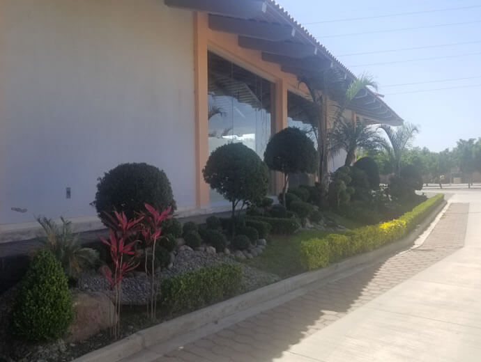 Salón el Alazan 