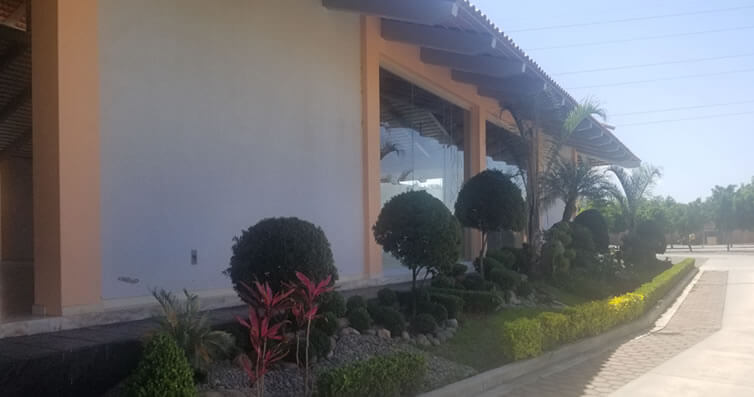 Salón el Alazan